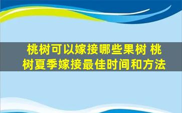 桃树可以嫁接哪些果树 桃树夏季嫁接最佳时间和方法